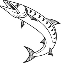 Barracuda fish vector design and using black color line art illustration on a white background.