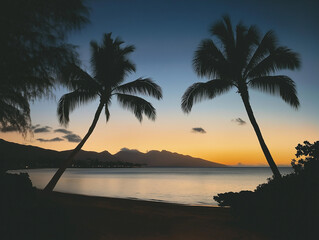 Moonlit Paradise: Nachtblick auf einen tropischen Strand mit Palmen

