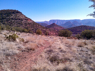 Southwest Desert Arizona