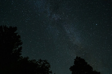 Stars and galaxy outer space sky night with tree tops
