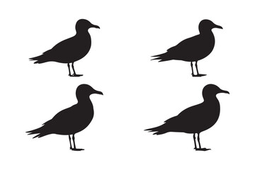 Four Seagull Silhouette Vector Illustration