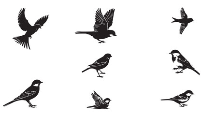 Birds silhouettes collection black and white vector illustration design background
