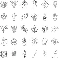Line Art Botanical Illustrations Plants, Flowers, and Gardening Tools
