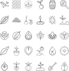 Cocoa bean growth stages, from plant to chocolate bar
