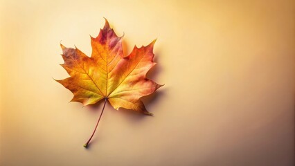 A single autumn leaf with vibrant red, yellow and orange colors rests on a warm, golden background.