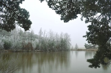 Obraz premium Winter landscape with a frozen lake and snow-covered trees. frost on the trees. Winter foggy landscape