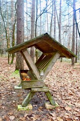 Naklejka premium wooden feeder for wild animals deer in the winter forest Feeder for winter feeding of wild animals in the forest. Feeder for forest animals in winter.