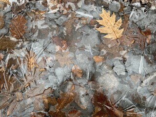 ice frost frozen puddle man walking on ice