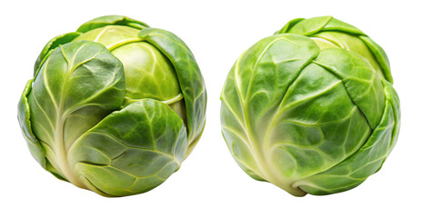 Obraz premium Brussels sprout isolated on transparent background..