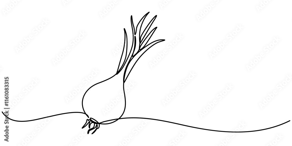 Poster two bulbs of onions. harvest. continuous line drawing. vector illustration, continuous one line draw