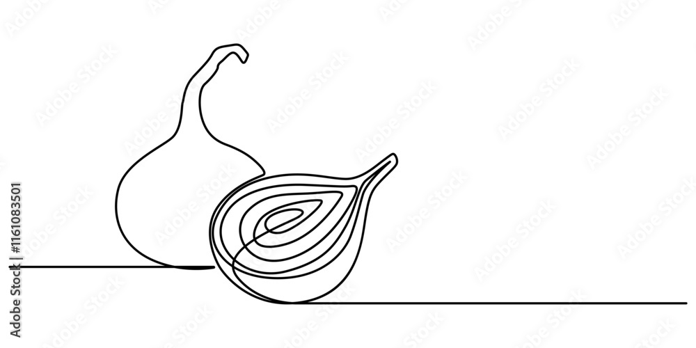 Poster two bulbs of onions. harvest. continuous line drawing. vector illustration, continuous one line draw