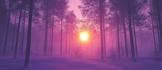 Fototapeta premium Violet sunset over winter forest landscape with fog and trees creating a serene atmosphere suitable for text overlays