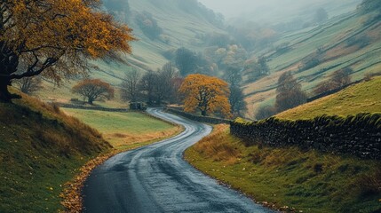 Winding Secondary Road Through Colorful Autumn Hills Under Foggy Skies