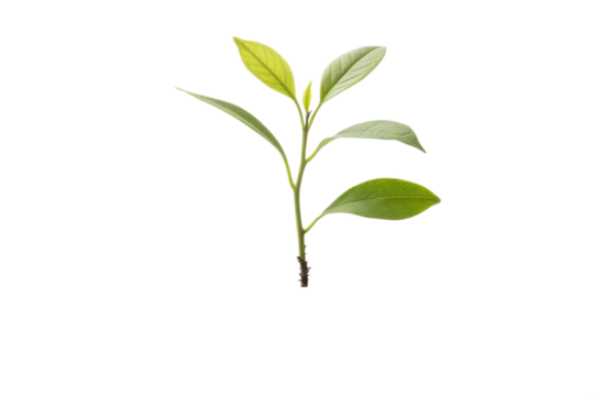 Vibrant Plant Sprout Growing Amidst Colorful Stripes