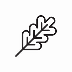 Oak leaf nature plant element icon vector sign
