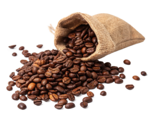 Roasted Coffee Beans Burlap Sack Aromatic Rich Brown Grains