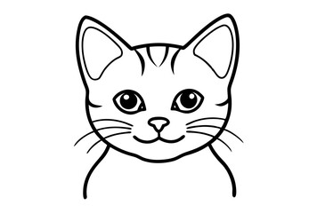 Fototapeta premium cat