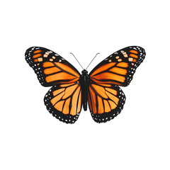 Fototapeta premium Majestic Monarch Butterfly