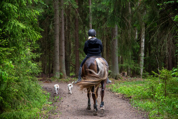 Woman horseback riding in forest