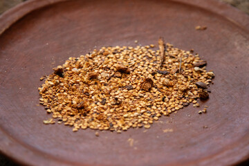 Local chili seeds from Oaxaca. The seeds are roasted and grinded with a metate to prepare the authentic Mexican black mole.