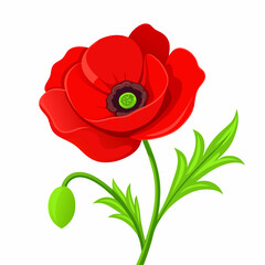 Beautiful Flower Vector Elegant vector illustration (2)