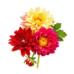 Flowers of beautiful bouquet dahlias macro nature isolated vector illustration  (3)