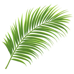 Obraz premium Lush Green Palm Frond: A Tropical Delight