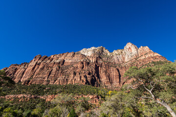 Fototapeta premium Beautiful scenery from the lodge area at Zion National Park as the sun starts to shine on the sandstone formations.