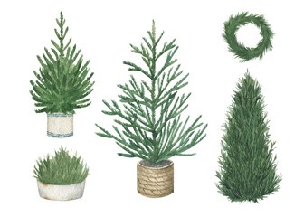 Winter Christmas fir-tree collection. Hand drawn watercolor isolated illustration on white background