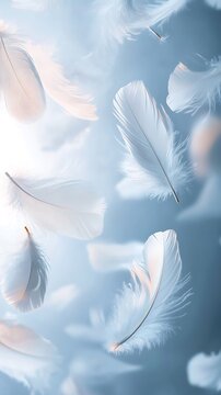 White feathers flying in the blue sky