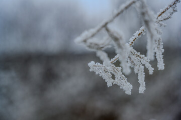 Ein frostiger Tag auf dem Bogenberg