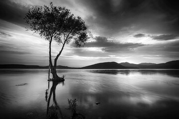 Bw landscape in lake 