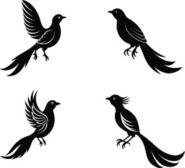 Black birds silhouette illustration