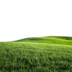 Obraz premium Green Grassland Landscape Isolated on White or Transparent Background
