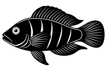  Fish icon vector isolated on white black background. food illustration sign collection.
