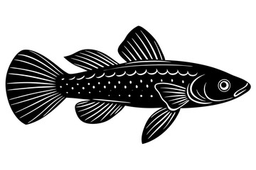  Fish icon vector isolated on white black background. food illustration sign collection.