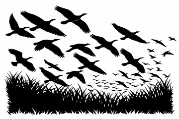 silhouettes of birds on the grass