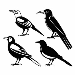 set of silhouettes of birds