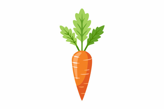 recommend clip art: Fresh Orange Carrot Vegetable Illustration with Green Leaves