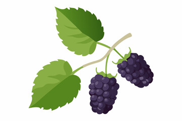 Fototapeta premium Ripe Blackberries on Branch with Lush Green Leaves