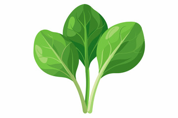 High-quality vector illustration of spinach leaves watercolor illustration isolated for design projects and creative needs