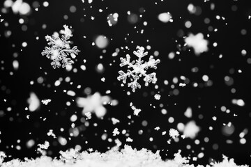 Close-up of snowflakes in black and white