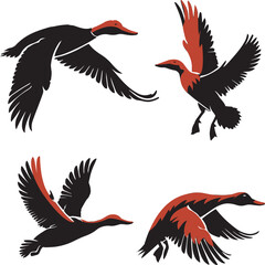 silhouette set of redhead duck flying poses