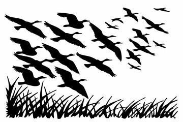 silhouettes of birds