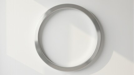 Elegant round wall mirror with a sleek metallic frame, casting shadows on a white background alongside green leaves for a minimalist and modern aesthetic