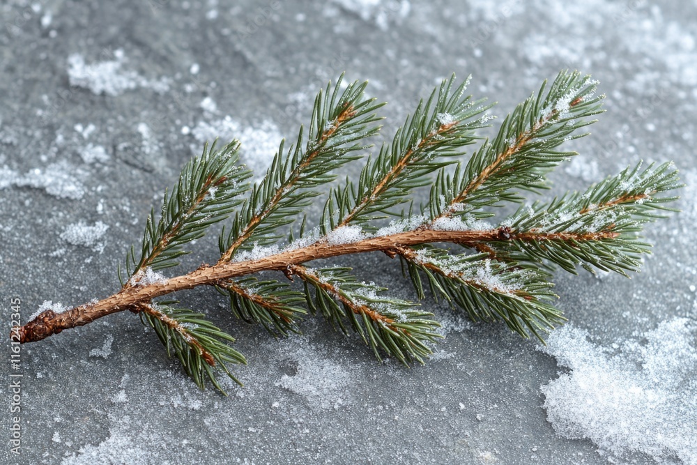 Poster a close-up shot of a snowy pine branch with thick, white coating and intricate details