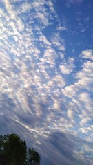 Beautiful sky-blue colors in the summer in Belarus