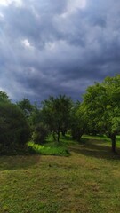 Beautiful sky-blue colors in the summer in Belarus