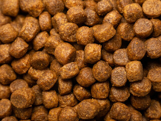 pellets of dry pet food in close-up. Healthy dog food containing proteins, fats and carbohydrates. The concept of healthy nutrition for dogs and cats