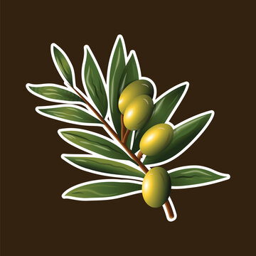 Mediterranean salad ingredient, is olive branch, with green leaves and fresh olives